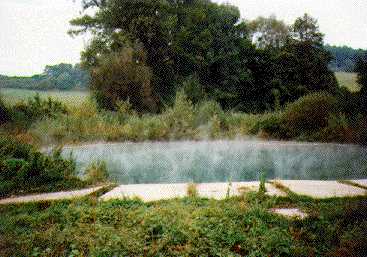 pr-2.jpg (17989 bytes)