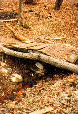 bb-73.jpg (24086 bytes)